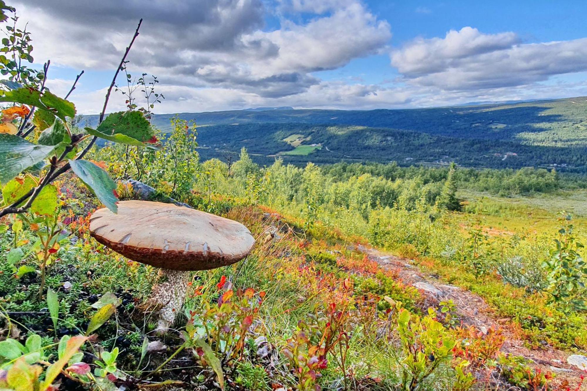 Active Adventure Base - Apartment & Lavvo, Dagali Fjellpark Zewnętrze zdjęcie